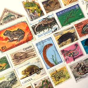 Peut inclure: Une collection de timbres-poste vintage représentant divers animaux, notamment des grenouilles, des serpents, des lézards et des tortues. Les timbres proviennent de différents pays, dont l'Australie, la Nouvelle-Zélande, la Mongolie, le Cambodge, Singapour et le Venezuela. Les timbres sont de différentes couleurs et de différents motifs.