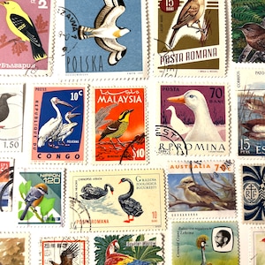 25 Stamp BIRD Fun Pack // Random Lot of 25 Premium Used World Bird Stamps // Scrapbooking, Art Projects, Journaling, Audubon, Ornithologist