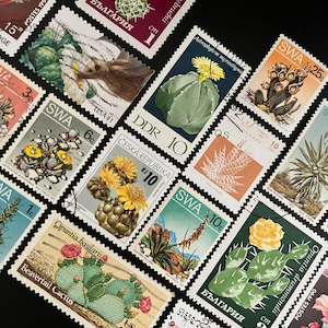 May include: A collection of vintage postage stamps featuring botanical illustrations of cacti and succulents. The stamps, with various denominations, showcase colorful images of different species, including the Beavertail Cactus, against a black background.