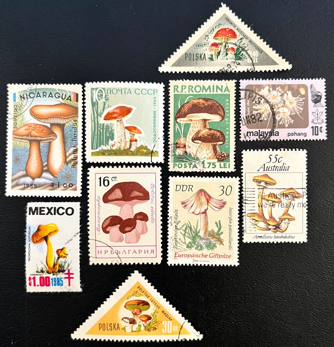 20 Stamp MUSHROOM LOVER Fun Pack // Random Lot of 20 Used Mushroom ...