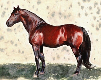 Original watercolor painting brown red Horse fine art small artwork gift animal horses realism starry living room pet portrait landscape