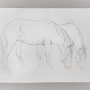 Originale cavallo disegno opere d'arte arte bianco e nero bellezza regalo animali cavalli realismo soggiorno vivaio animale domestico ritratto carta schizzo regalo di Natale