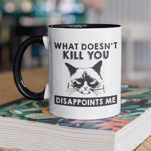 What Doesn't Kill You Disappoints Me, Funny Mug, Cat Coffee, Cat Lover Gift, Funny Cat Mug, Cat Cup, Sulky, Cat Mug, Cat Meme Mug, Grumpy