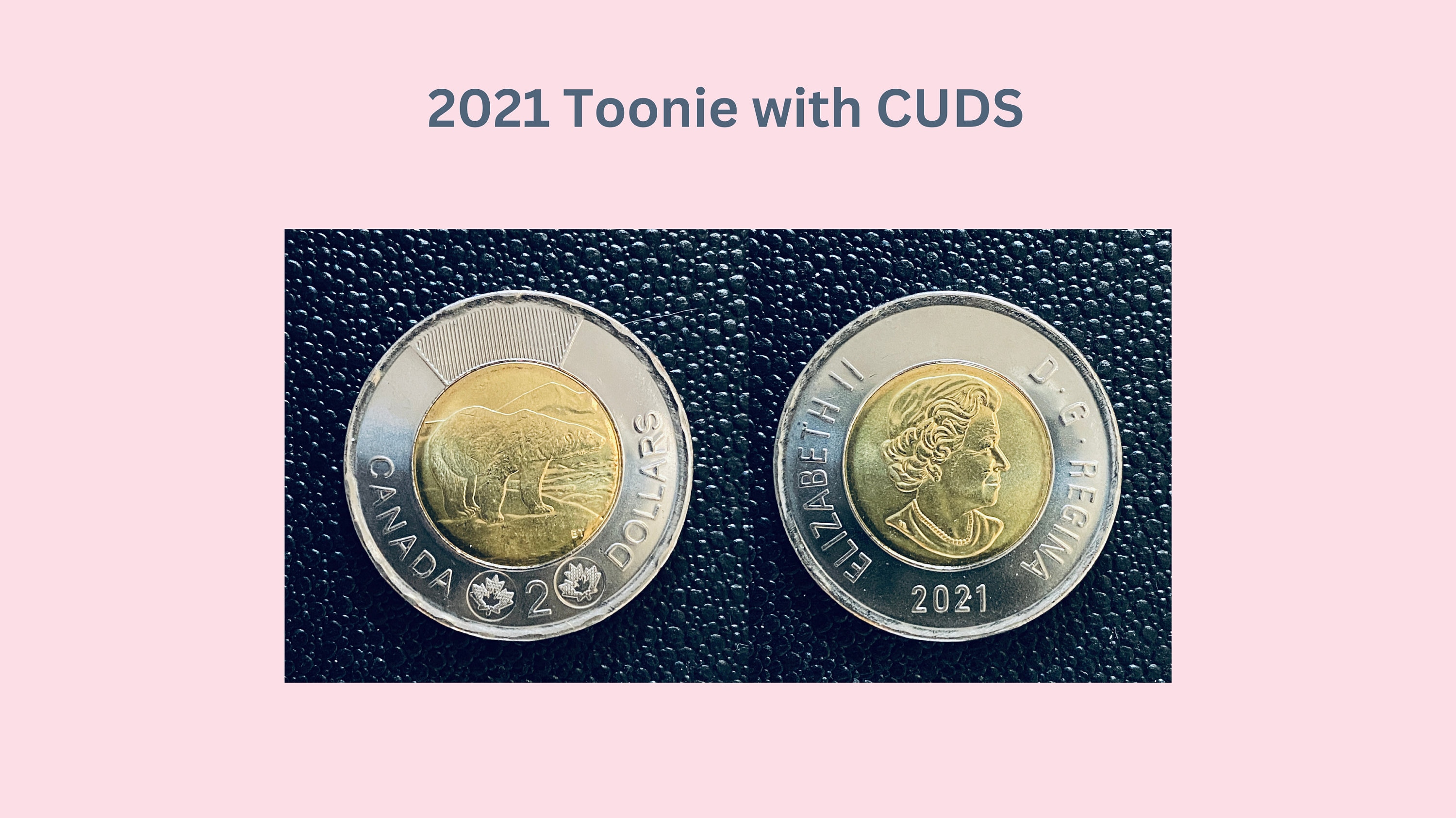 2021 ERROR Cuds on Front Toonie | Color | New Coin | Two