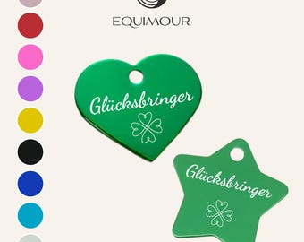 Lucky Charm Halter Tag for Horse & Pony – Heart or Star – Aluminum Bridle Charm