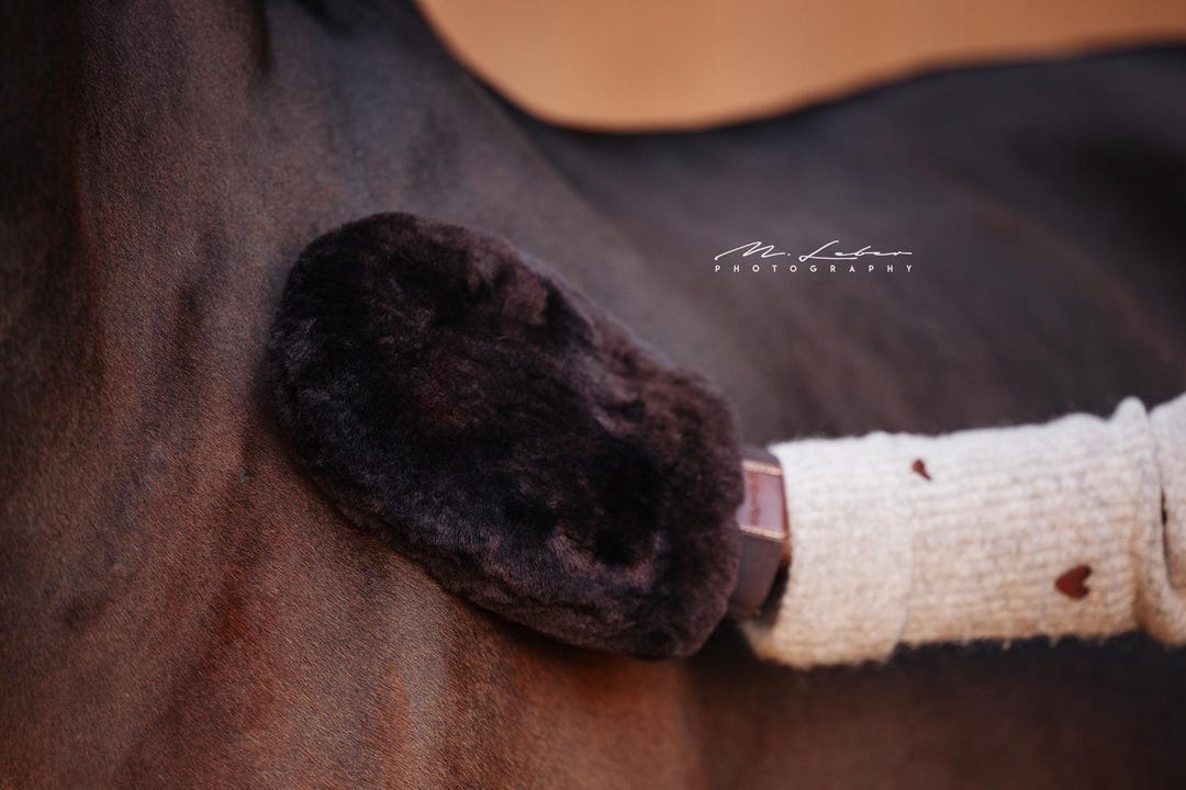HORSEBIT GLOVES IN BLACK LAMBSKIN MIX WOOL 464975
