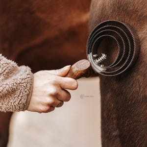 Pode incluir: Uma rasqueadeira de metal com cabo de madeira escura, apresentando um design circular com múltiplos anéis serrilhados concêntricos e um mecanismo de mola central, usada para cuidar da pelagem castanha de um cavalo.