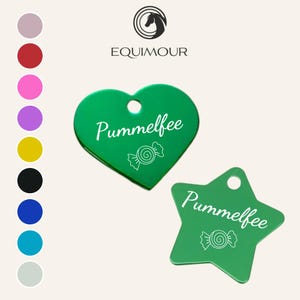 Personalizable | Halter pendant for horses | Pummelfee | Lucky brand | Gift for rider, horse girl, horse, pony, riding | Equimour |