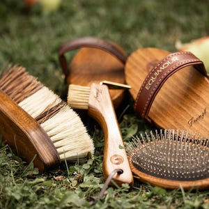 Kit de inicio de cepillos para caballos personalizables: kit de aseo de alta calidad con cepillo para el pelo, brillo, crines, raíces y limpiacascos: regalo para jinetes.