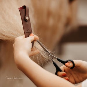 Può includere: Una mano tiene in mano un paio di forbici con manici neri e taglia una ciocca di crine di cavallo biondo. Uno scrigno in pelle marrone con la parola "SOYWOOL" impressa in rilievo è visibile sullo sfondo.