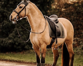 Dressage Set of 3 – Saddle Pad, Fly Bonnet & 4 Fleece Bandages – Classic Sage or Pure Chocolate Matchy Set