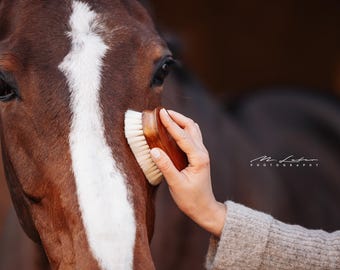 Face Brush with Extra-Soft Bristles for Horses – Grooming Brush for Head & Finer Areas, Engravable