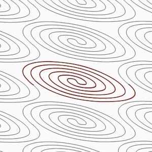 May include: A pattern of concentric circles in black and white, with one circle in the center in a darker shade of red.