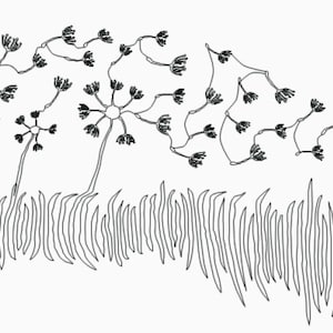 Dandelion with grass, Longarm Digital Quilt Designs, Pattern, E2E, E522