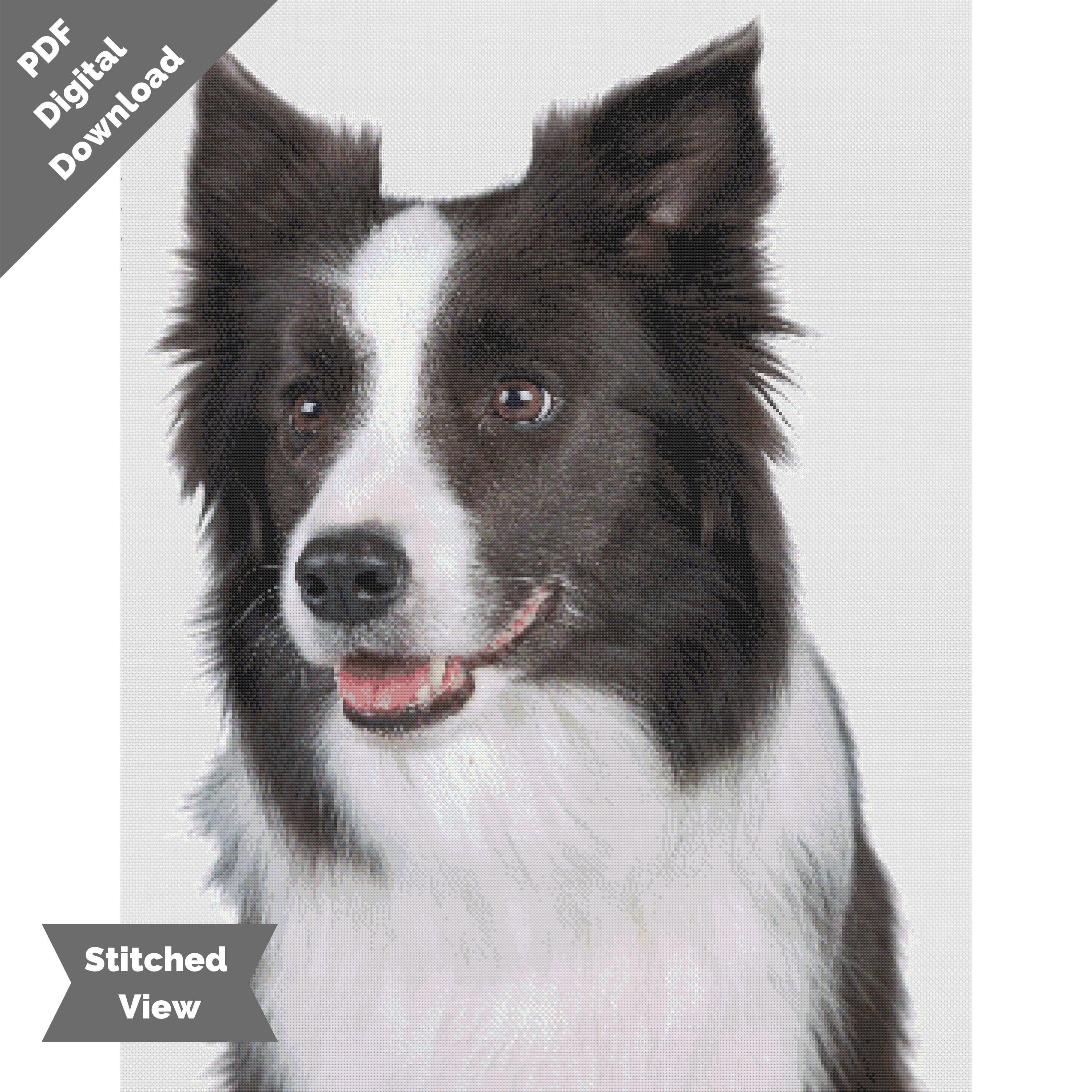 Border Collie Portrait Cross Stitch Chart | PDF Download | Pattern ...