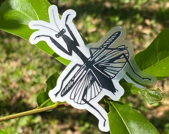 Praying Mantis Clear Background Sticker, Life-size