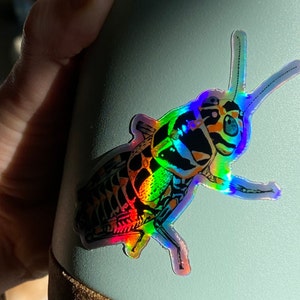 Rainbow Grasshopper Holographic Rainbow Shiny Sticker