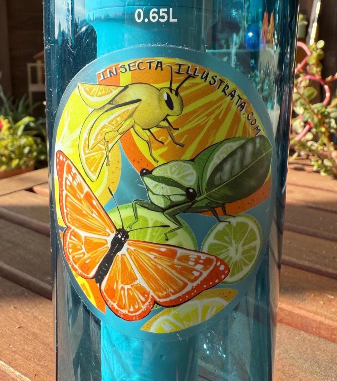 Citrus Fruit Bugs Cicada Bumblebee Monarch Butterfly - Etsy