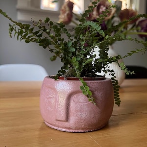 May include: A pink face-shaped planter with a green fern plant growing inside. The planter has a textured surface and is sitting on a wooden table.