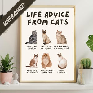 Levensadvies van katten poster, kunst aan de muur kattenwijsheid, kattenliefhebbers cadeau, kattenwijsheid woondecoratie INGELIJSTE