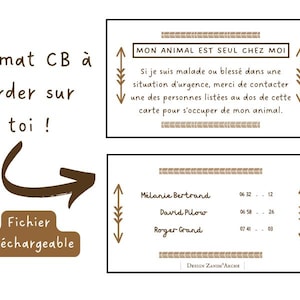 Mon animal est seul chez moi - ALERTE - format carte de visite FICHIER PDF