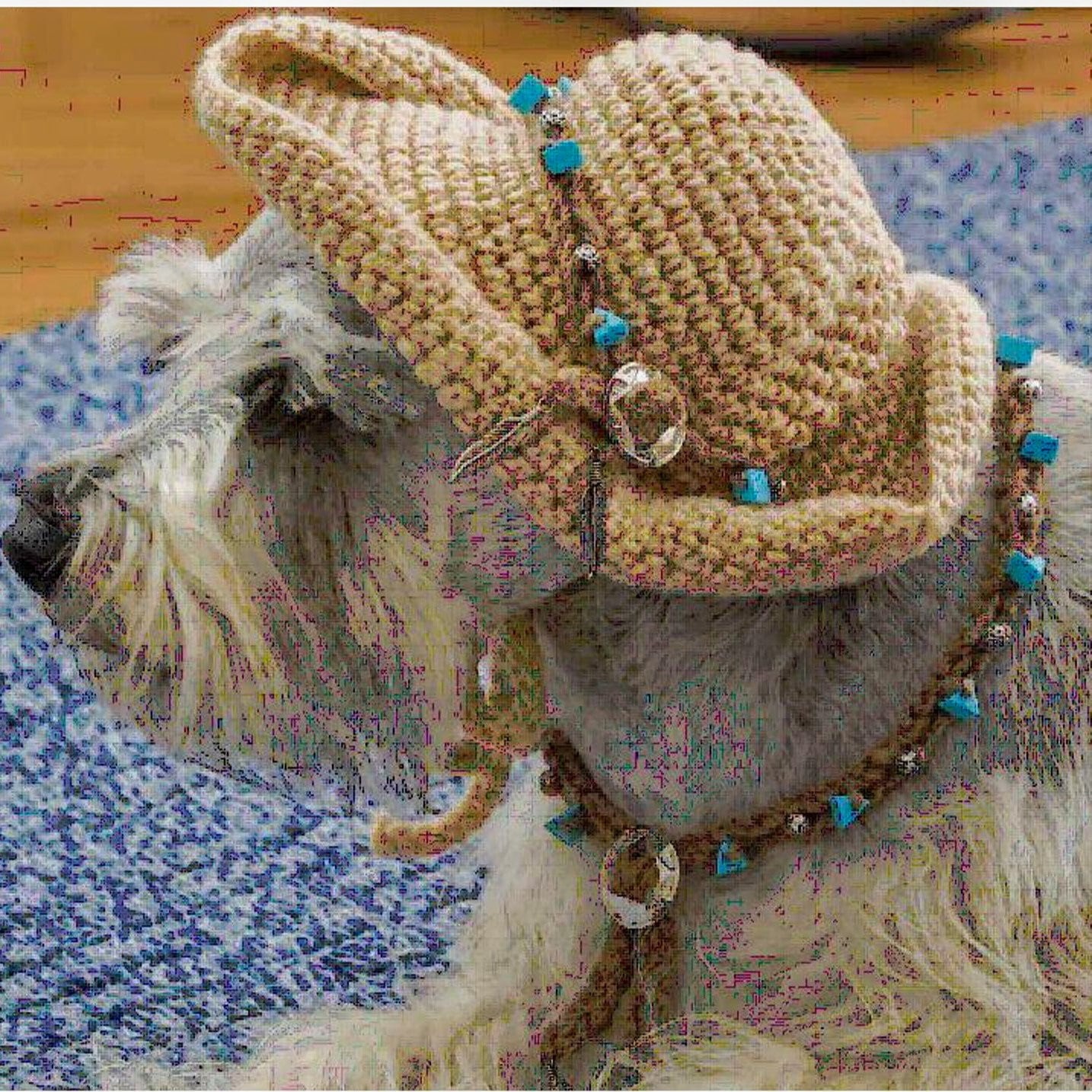 Vintage Dog Sombrero Crochet Pattern