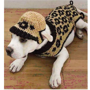 Puede incluir: Un perro blanco con un suéter de leopardo marrón y negro y un gorro de crochet marrón.
