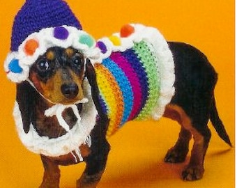 CROCHET PATTERN Dog Sweater - Crochet Dog Hat Pattern - Party Set for Dog - Vintage Crochet Patterns - pdf instant digital