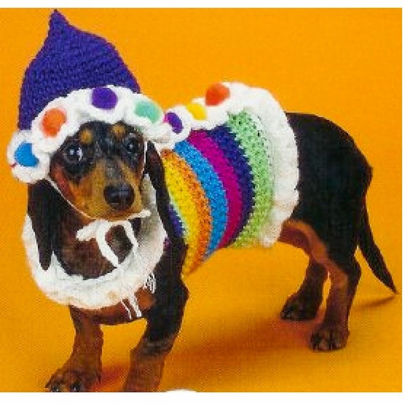 PATRÓN DE GANCHILLO Suéter para perro Patrón de gorro de crochet