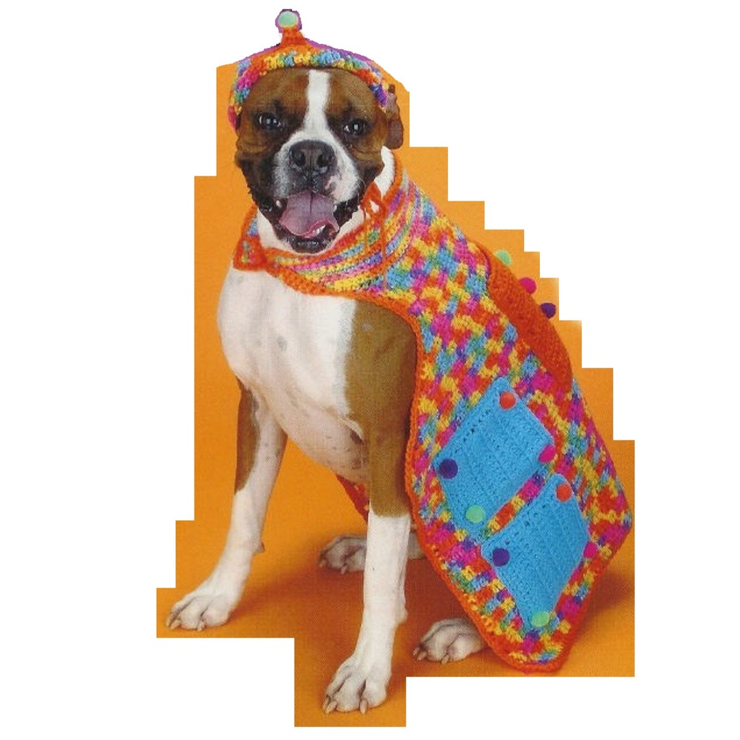 CROCHET PATTERNS Dog Sweater Crochet Dog Hat Pattern Dog Party Set