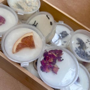 Pastillas de cera de soja botánicas – Fragancia natural para el hogar, botes individuales vertidos a mano.