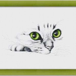 Può includere: Primo piano di un gatto bianco con occhi verdi. Il gatto sta guardando direttamente lo spettatore. La pelliccia del gatto è morbida e soffice. Lo sfondo è bianco.