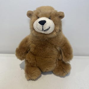 Puede incluir: Un oso de peluche marrón con hocico blanco, nariz y boca negras. El oso tiene orejas pequeñas y redondeadas y está de pie. Este juguete blando es un artículo infantil clásico.