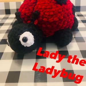 Lady der Marienkäfer Muster