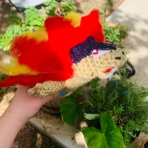 Typhlosion