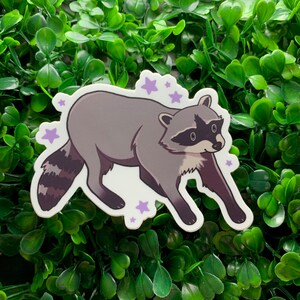 star raccoon sticker