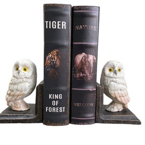 Set of cast iron bookends - Owls