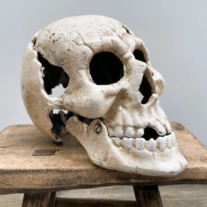 Cast iron human skull- Life-size
