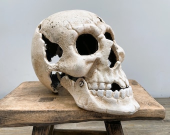 Cast iron human skull- Life-size