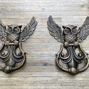 Op de afbeelding: Twee bronzen uilen deurbel. Elke uil heeft uitgespreide vleugels en zit boven een decoratieve handgreep. De deurbellen zijn gemaakt van metaal en hebben een gedetailleerd, getextureerd oppervlak.