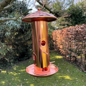 Bellissima mangiatoia per uccelli - Regalo da giardino - Mangiatoia per uccelli placcata in rame