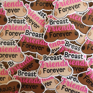 Breast Friends Forever Sticker |  BFF Sticker |  Best Friends Forever |  Laptop Sticker |  Boobie Sticker |  All Boobies Matter