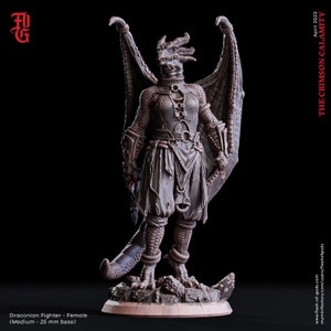 Female Draconian Fighter Miniature | 32mm Scale | DnD Miniature Dungeons and Dragons DnD 5e Warrior Paladin Fighter Dungeons & Dragons