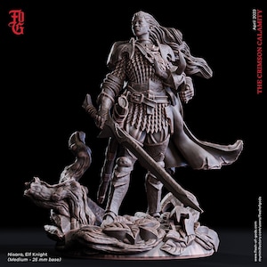 DnD Elf Knight Miniature Warrior Paladin Fighter | 32mm Scale 75mm Scale | DnD Miniature Dungeons and Dragons DnD 5e class elf miniature