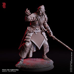 May include: A detailed figurine of Einor the Lightstrike, a fantasy character, stands on a 25 mm base. The figure is clad in armor and holds a sword, with an outstretched hand. The figure is a medium size. The background is black.