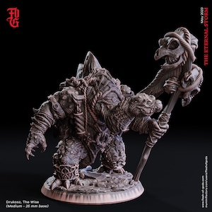 Tortle Druid Miniature Tortle miniature Pirate Miniature | 32mm Scale | DnD Miniature Dungeons and Dragons DnD 5e | Male Miniature