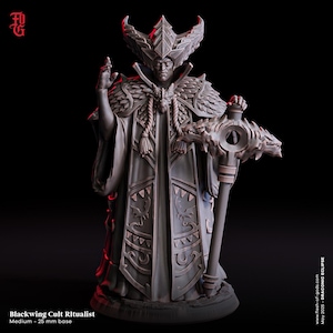 Blackwing Cult Ritualist Miniature Spellcaster Monster Sorcerer Figure | 32mm Scale 75mm Scale | Dungeons and Dragons DnD 5e Dungeon Master
