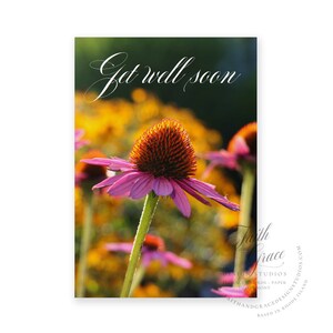 L'échinacée se rétablit bientôt carte de vœux | Blanc à l'intérieur | Collection pétales | Fleurs | Été botanique | A6 | Fleurs indigènes de la Nouvelle-Angleterre