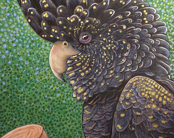 May include: A black cockatoo with a yellow crest and black and gold feathers perched on a brown log. The bird has a black beak and a dark eye.