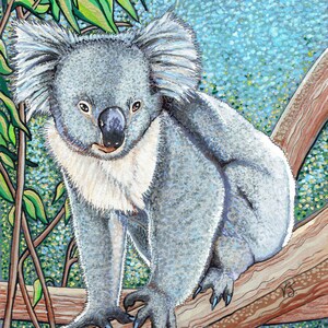 Koala A4 Print